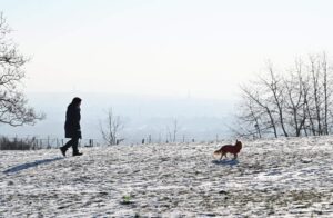 Weiße Weihnachten? Teils ergiebiger Schneefall am Heiligen Abend