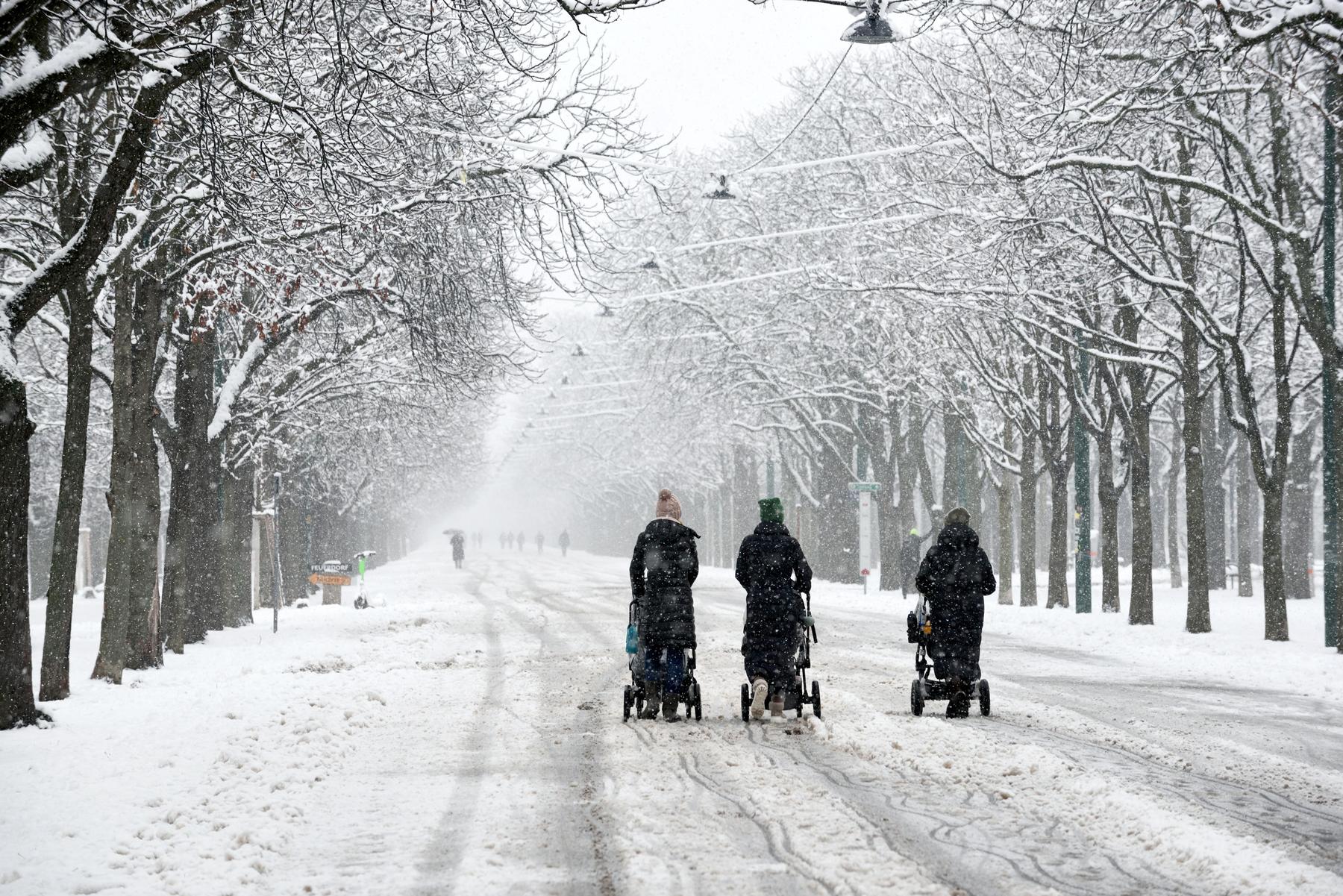 Winter mit bitterkalten Perioden steht bevor [premium]